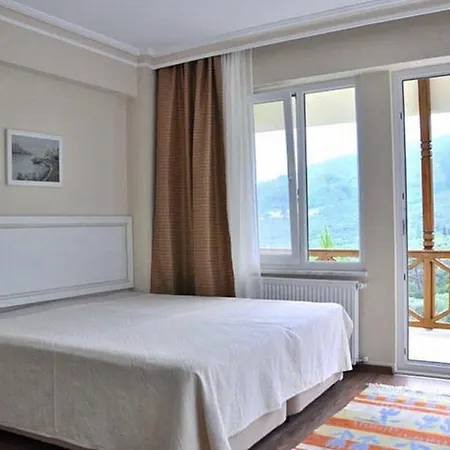 Sari Konak Butik 5* Balıkesir