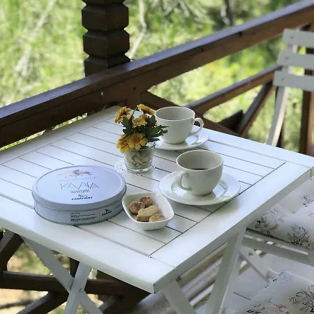 Hotel Sari Konak Butik Balıkesir
